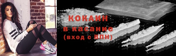 прущие грибы Алзамай