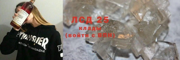 прущие грибы Алзамай
