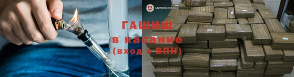прущие грибы Алзамай