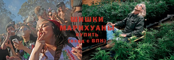 прущие грибы Алзамай