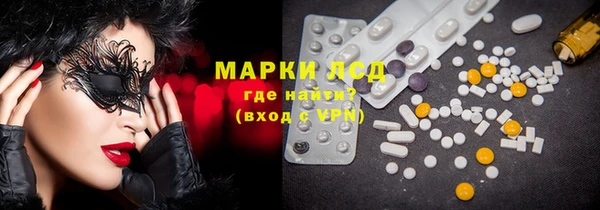 прущие грибы Алзамай