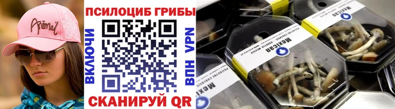 площадка наркотические препараты  Солнечногорск  Псилоцибиновые грибы Psilocybine cubensis  купить  сайты 